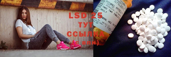 ГАЛЛЮЦИНОГЕННЫЕ ГРИБЫ Волосово