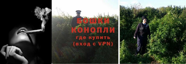 ГАЛЛЮЦИНОГЕННЫЕ ГРИБЫ Волосово