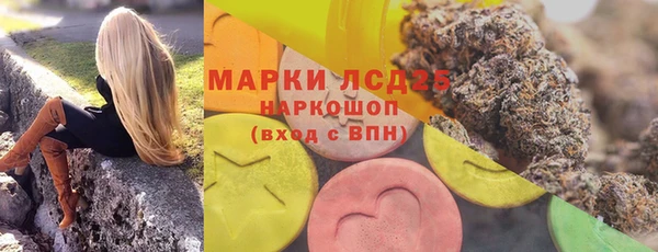 ГАЛЛЮЦИНОГЕННЫЕ ГРИБЫ Волосово