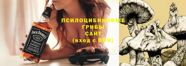 молекула духа Володарск