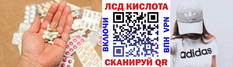 Купить закладки  Канаш  Лсд 25 экстази кислота 