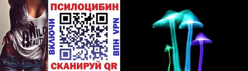 Купить  Канаш  Галлюциногенные грибы Psilocybine cubensis 